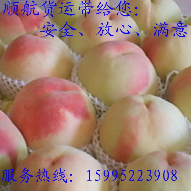 ʻڵȵ