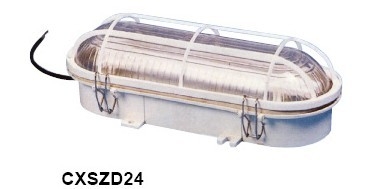 CXSZD24ƾ