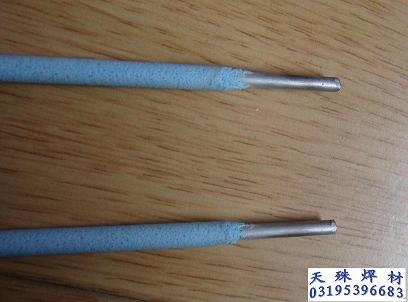 D512D512Ѻ