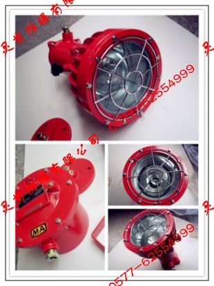DGS175/127Ͷ