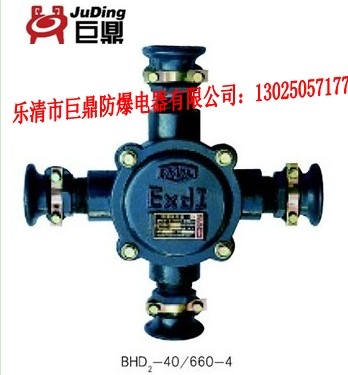 BHD2-40/3½ߺ