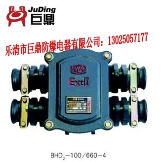 BHD2-100/4Tߺ