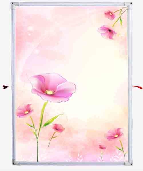 2013̼ǽů׼ȷ