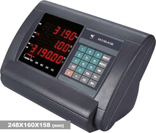 XK3190-A15E