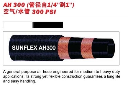 ˫AH300ˮ