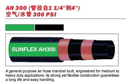 ˫ˮAH300