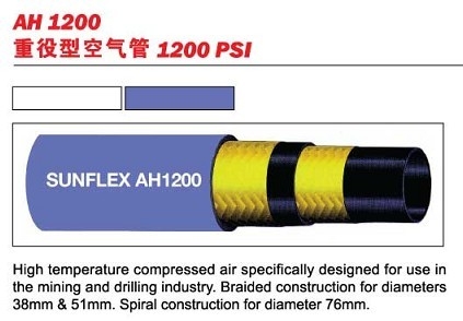 ˫AH1200Ϳ