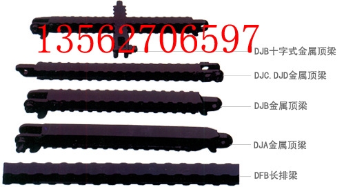 ½Ӷ
