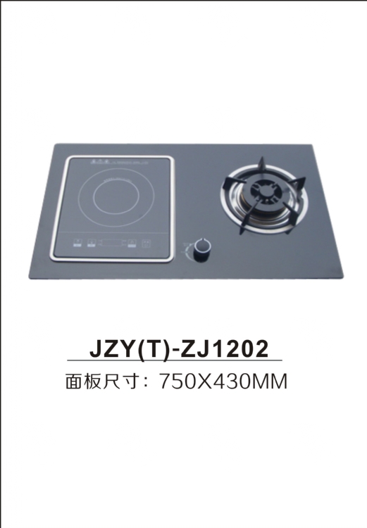 ˫¯(JZY-ZJ1202)