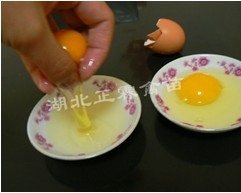 供应营养新鲜鸡蛋