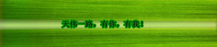 uݻָ-ݻָ