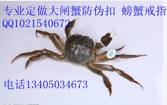 բз̱зָзǩ