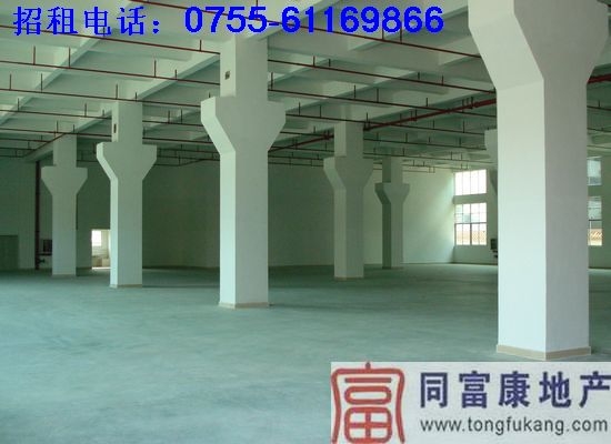 公明厂房超靓工业园标准一楼厂房