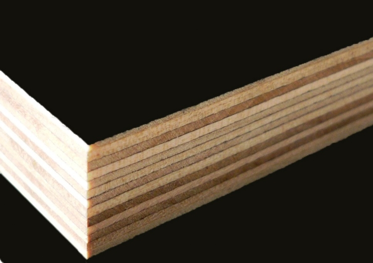 ӱģ峧ҽľ