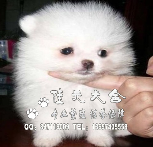 ݸвݸ