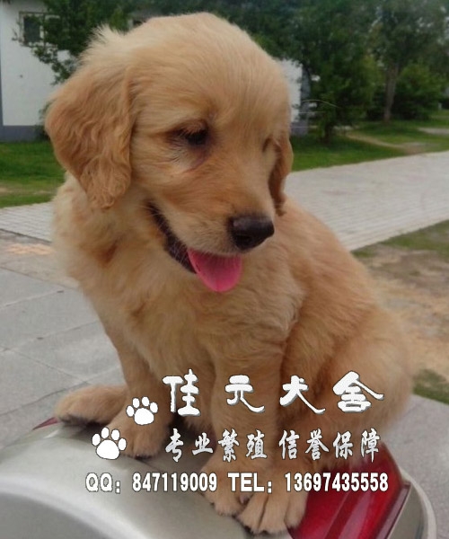 ݸнëȮݸëȮ