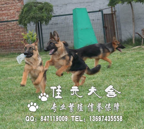 ҪǮ