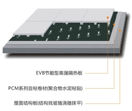 EVB͸ǿȰ
