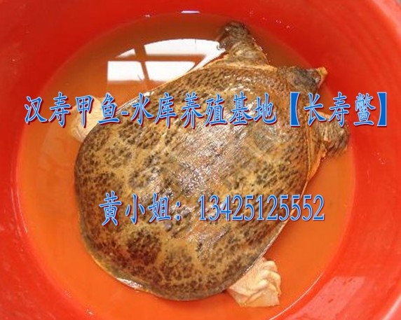 Ұ㹩Ӧ_л