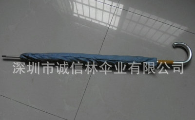 ֱɡ(33)