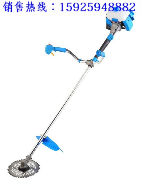 ݻС͸