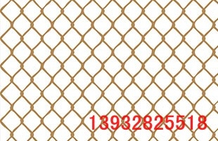 ˿˿