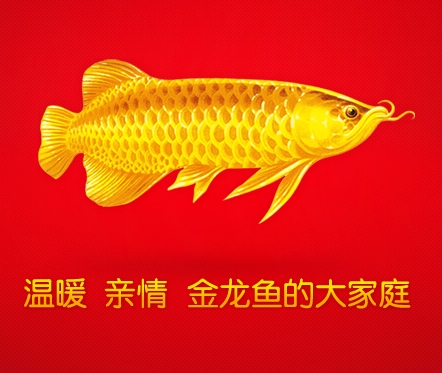 ʳ(16L)