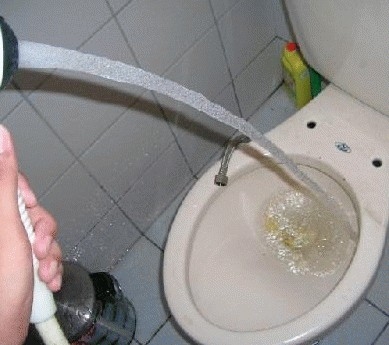 ͨ