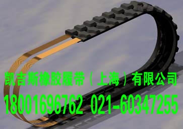 ù808ھ𽺿