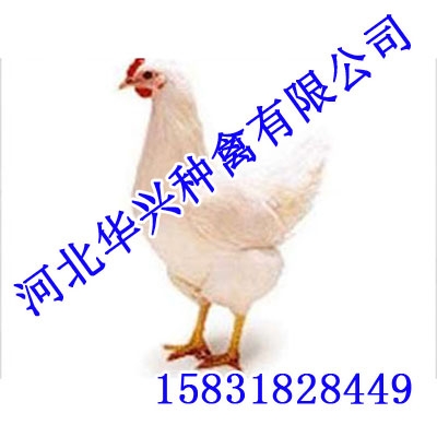 (002)