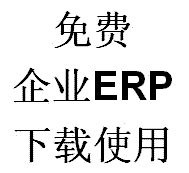 ERP(ERP)