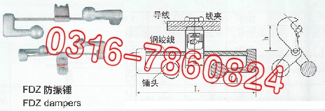 PDZ-1ͷ