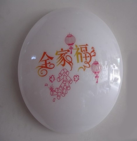 (ZN-X18W)