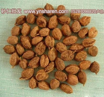 云南砂仁,云南春砂仁批发