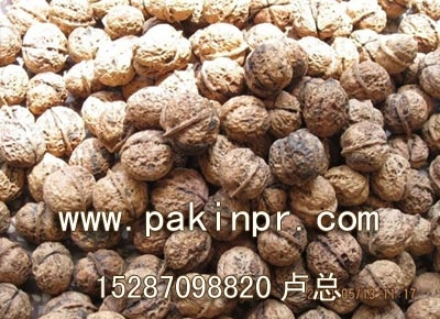 澳门核桃,澳门核桃批发