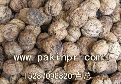 澳门核桃,澳门核桃产地