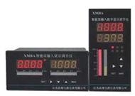 ʾ(XY-100)