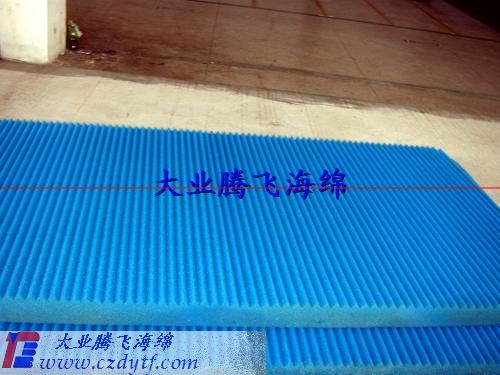 ʪЧ(B0303-T013)