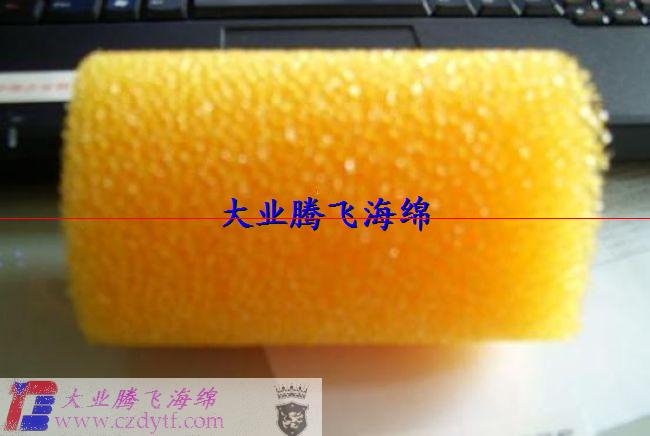 ȼ˺(B0303-T055)