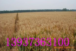35С