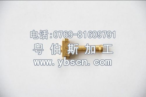 走芯机加工,骨钉加工
