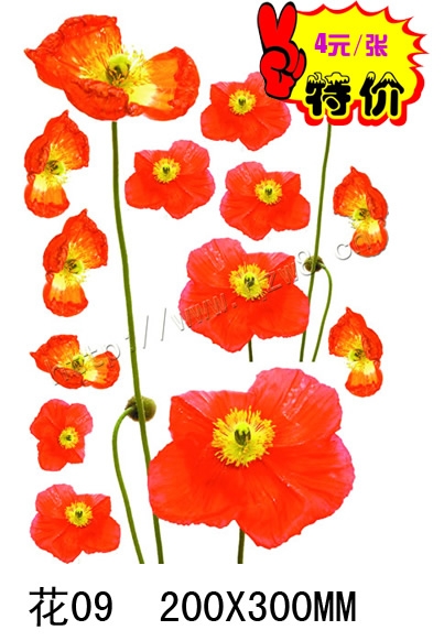 Ҿˮƻֽˮתӡӡ