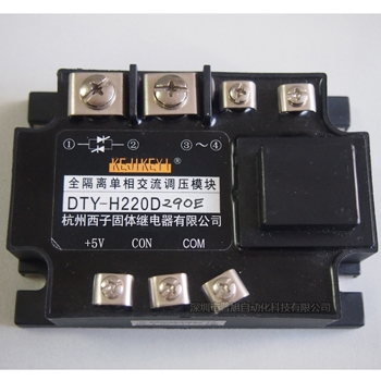 ģDTY-H220D290E
