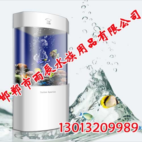 生态鱼缸,鱼缸,水族箱,邯郸雨