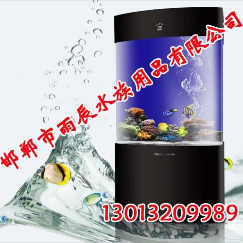 鱼缸,水族箱,生态鱼缸,邯郸雨