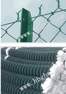 ܹ