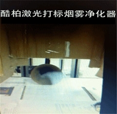 豸