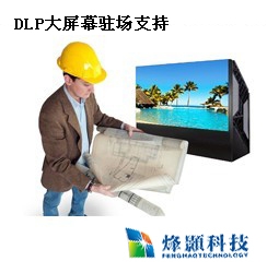 ṩDLPפ֧
