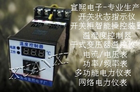 ӦWSD-P1(TH)