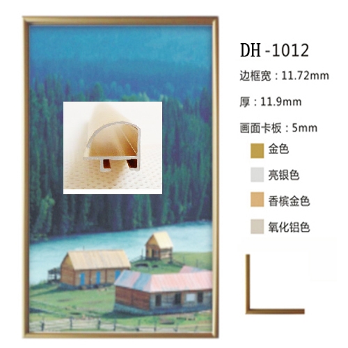 ԹͲ(DH1012)